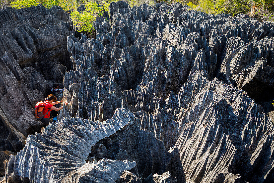 Tsingy de Bemaraha-Nationalpark. Madagaskar, Afrika