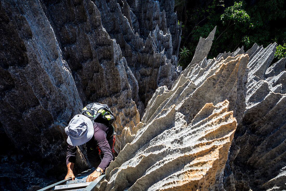 Tsingy de Bemaraha National Park. Madagascar, Africa