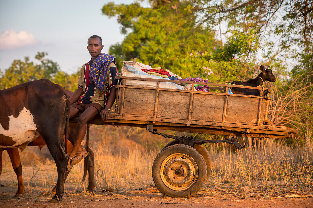 Porträt eines madagassischen Bauern, Umgebung des Dorfes Manja, Madagaskar