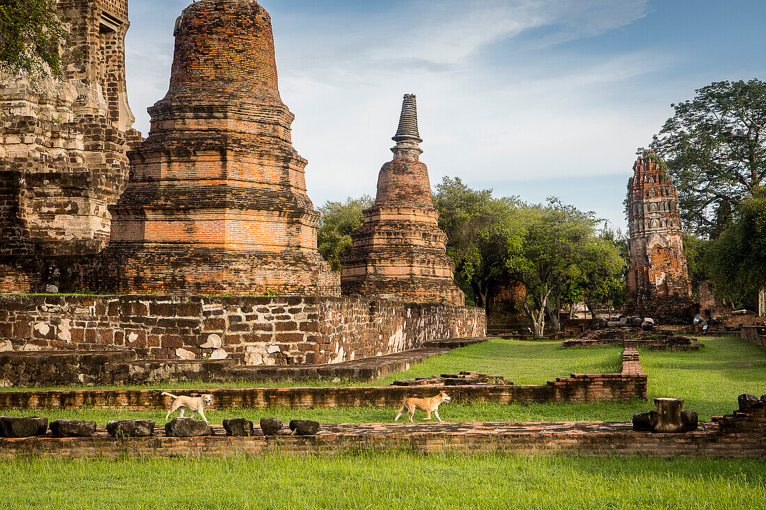 Wat Ratchaburana temple, Ayuthaya, Thailand