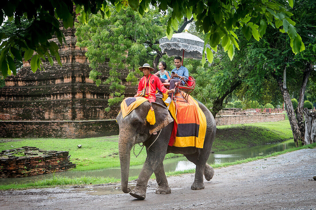 Elefantenritt, Ayuthaya, Thailand