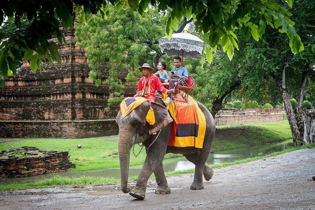 Elephant Ride, Ayuthaya, Thailand