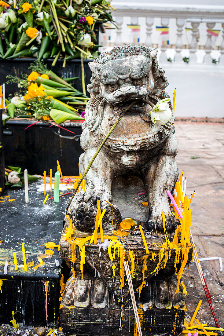 Offerings, in Wat Suan Dok, Chiang Mai, Thailand