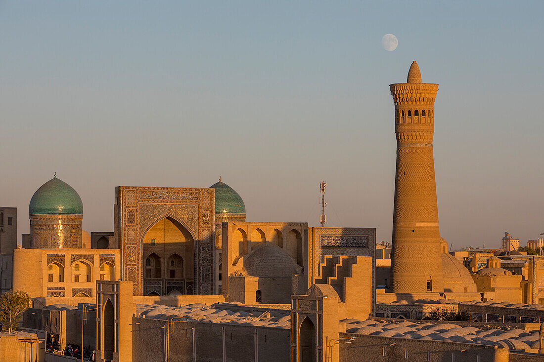 Skyline, Kalon minaret and mosque. And Mir-i-Arab medressa , Bukhara, Uzbekistan