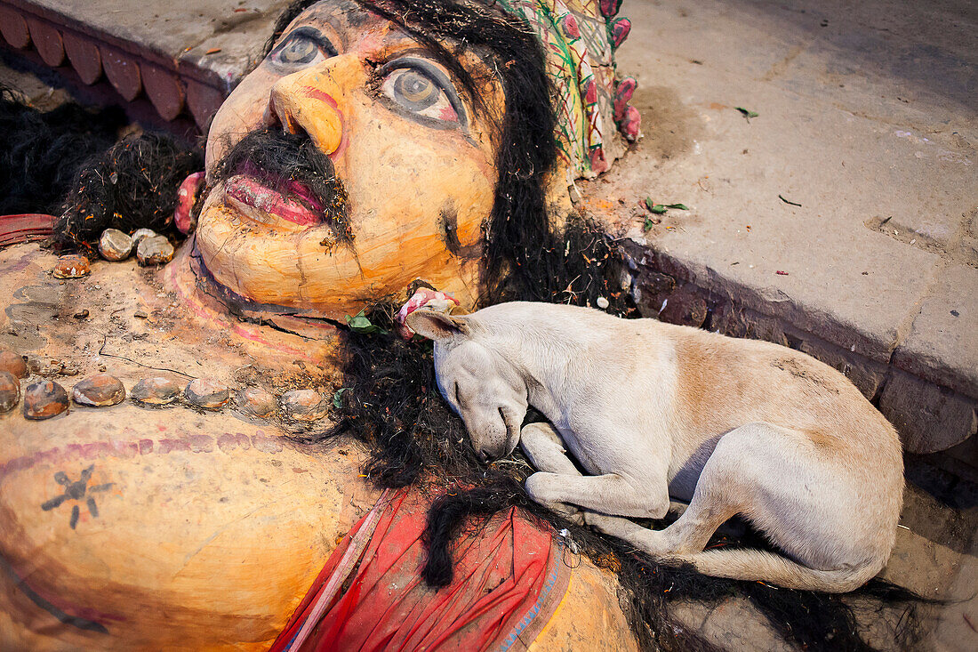 Schlafender Hund, im Assi Ghat, Fluss Ganges, Varanasi, Uttar Pradesh, Indien.