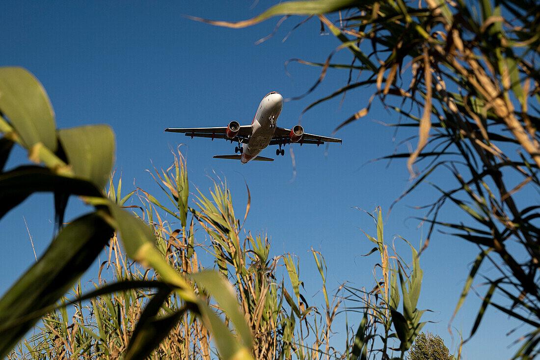 Flug über das Llobregat-Delta Flugzeug steuert den Flughafen von Barcelona zur Landung an. Durch den Ausbau des Flughafens droht die Zerstörung des Llobregat-Deltas und eine Zunahme der Kohlenstoffemissionen.Katalonien.Spanien