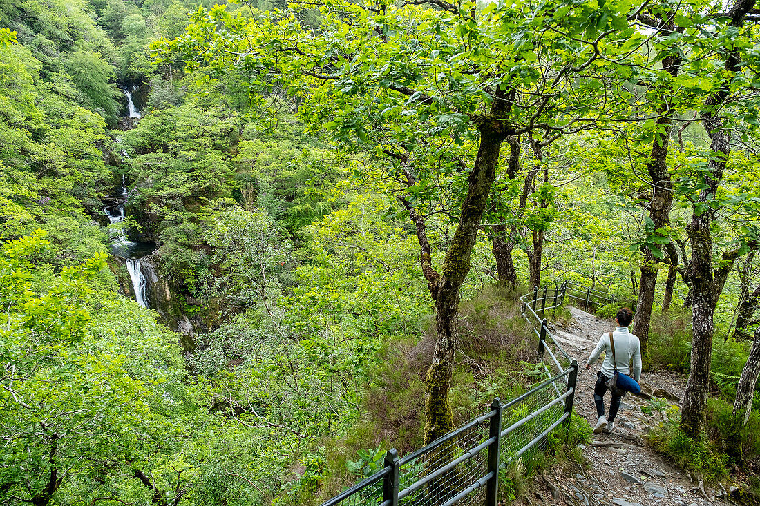 Mynach Falls, Devil's Bridge, long way, Pontarfynach, Wales