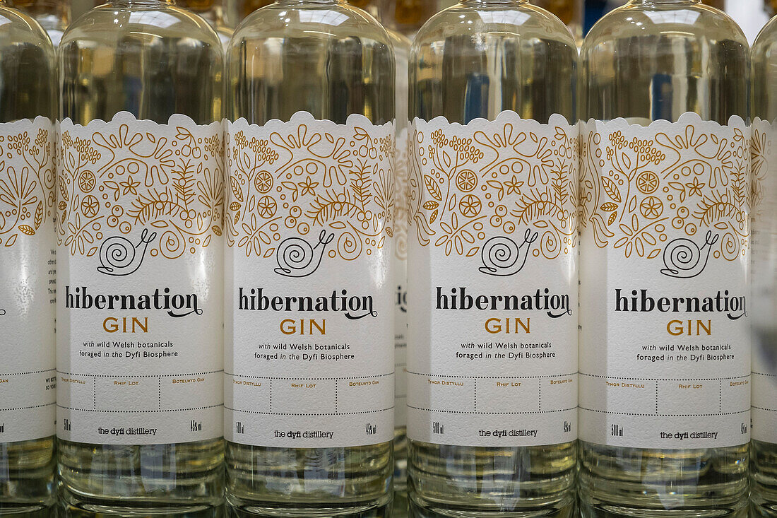 Bottle of hibernation gin at Dyfi distillery, artisan gin by Pete Cameron and Danny Cameron, Corris, Machynlleth, Wales
