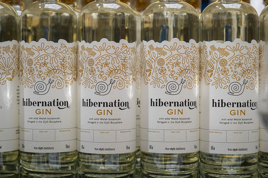 Eine Flasche Hibernation Gin in der Dyfi-Brennerei, handwerklich hergestellter Gin von Pete Cameron und Danny Cameron, Corris, Machynlleth, Wales