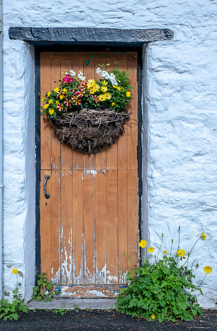 Door, house on the banks of Tal-y-Llyn Lake, Gwynedd, Snowdonia, Wales