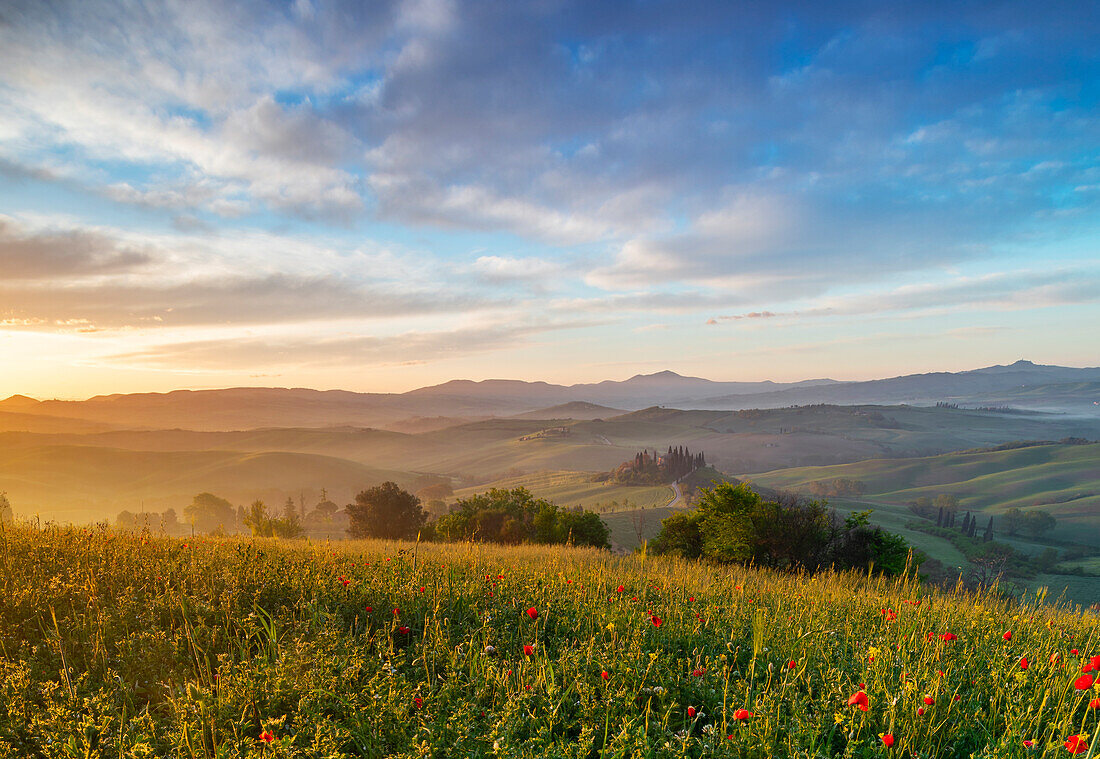 Sunrise at Podere Belvedere, San Quirico d'Orcia, Siena, Tuscany, Italy, Southern Europe
