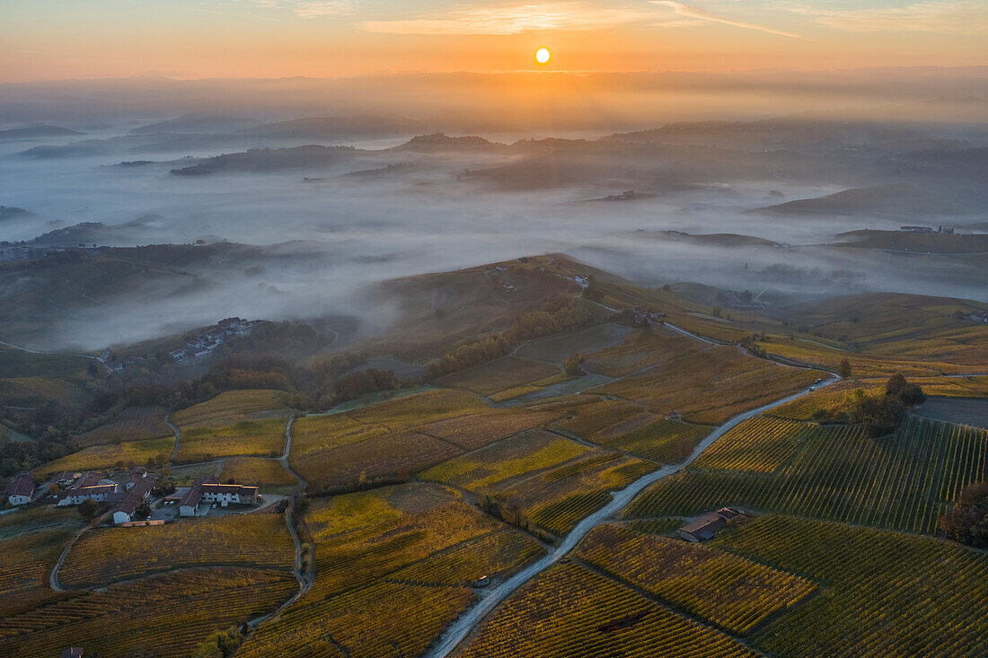 Aerial view of vineyards around Barolo during autumn at sunrise, Cuneo, Langhe e Roero, Piedmont, Italy, Southern Europe