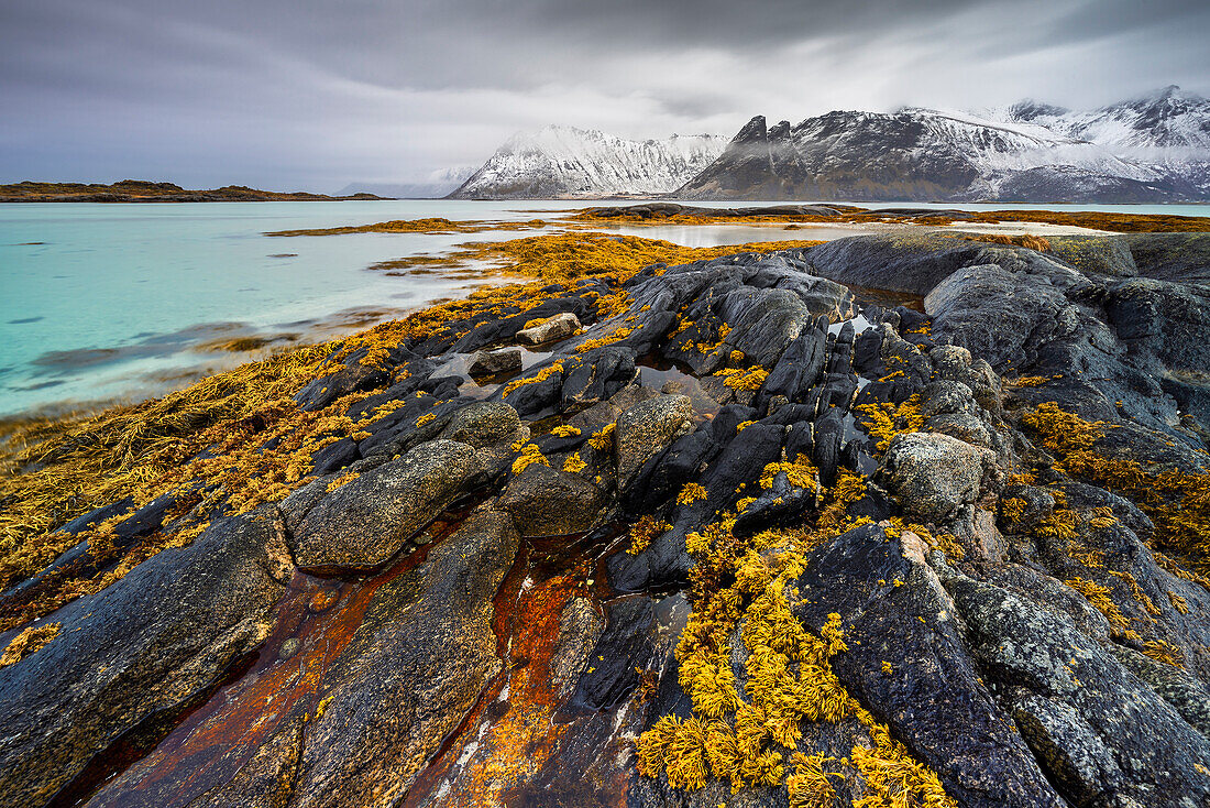 Indre Bardstrand beach at Gimsoysand during stormy weather, Vagan, Nordland, Lofoten, Norway, Northern Europe