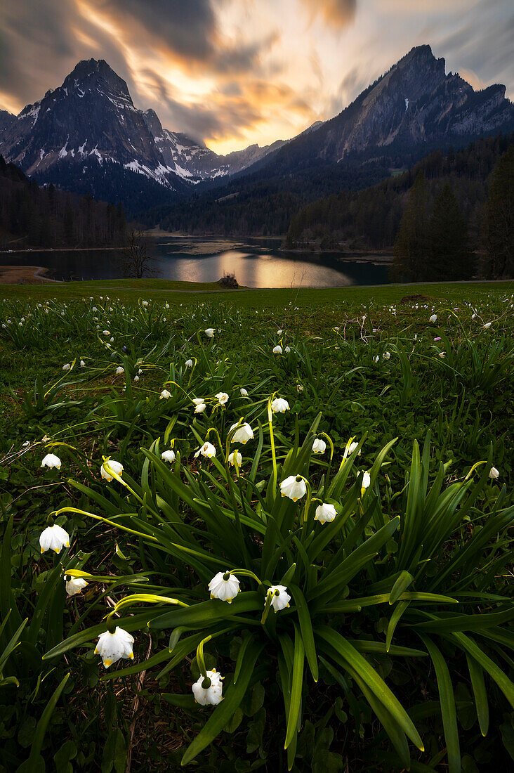 Blick auf den Barensoolspitz und den Brunnelistock bei Sonnenuntergang im Frühling, Naefels, Oberseealp, Cantone Glarona, Schweiz, Westeuropa