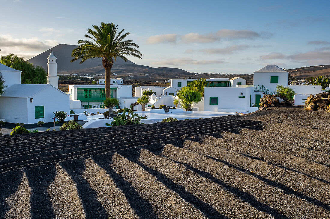 Casa Museo del Campesino, entworfen von Cesar Manrique, San Bartolome, Insel Lanzarote, Kanarische Inseln, Spanien