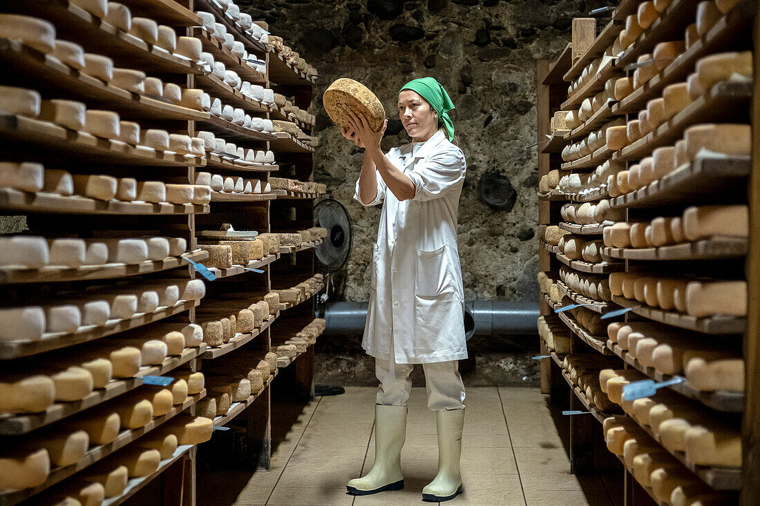 Elena at work, controlling the ripening process. Cheese shop, Formatgeria Mas d´Eroles, artisan cheese making, Adrall village, Alt Urgell, Lleida, Catalonia, Spain