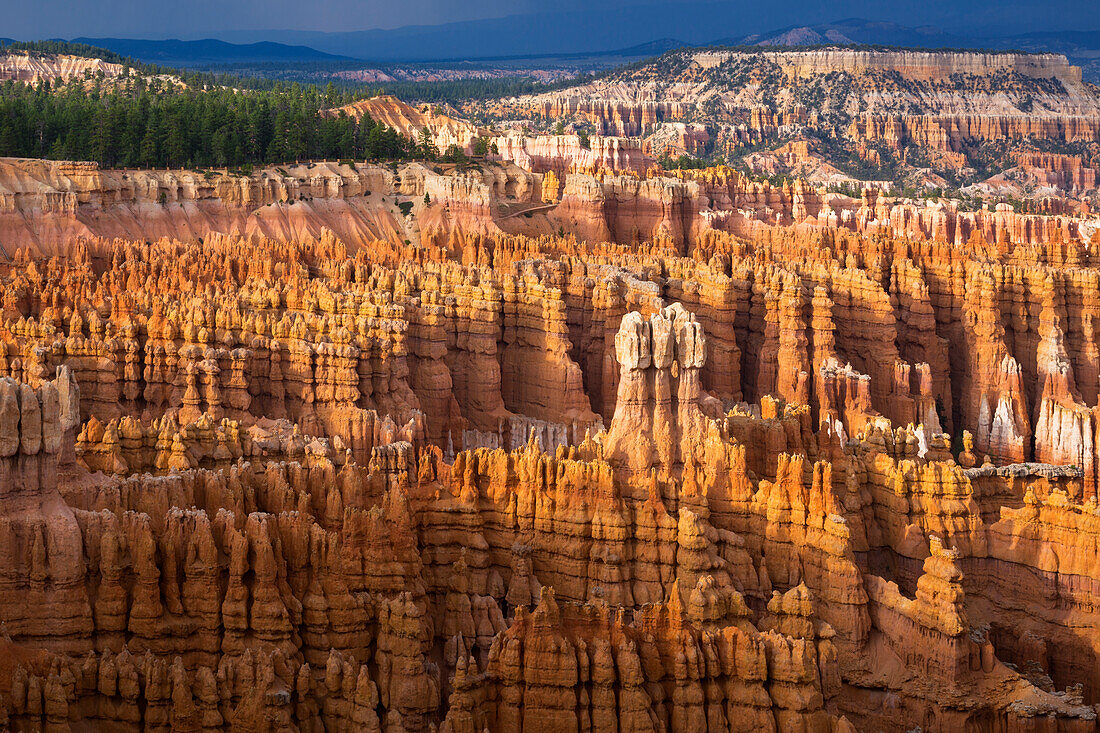 Bryce Canyon at sunrise, Utah, North America, USA