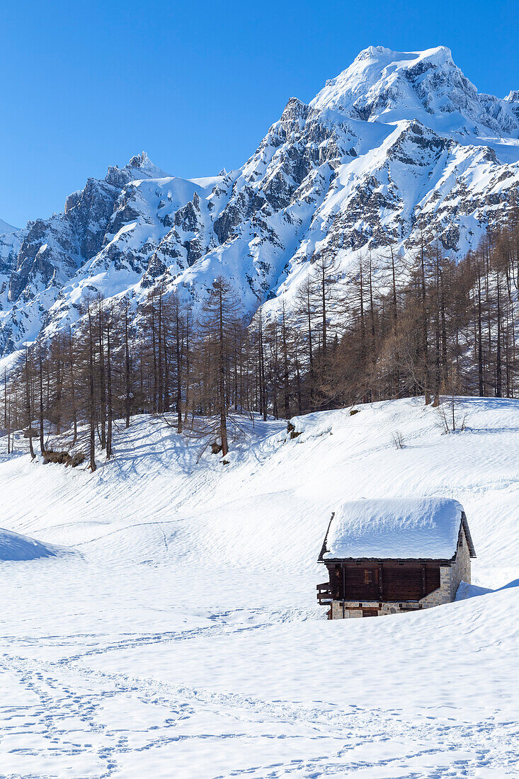 Blick auf eine Berghütte vor dem Monte Cervandone in der kleinen Stadt Crampiolo im Winter. Alpe Devero, Antigorio-Tal, Piemont, Italien.