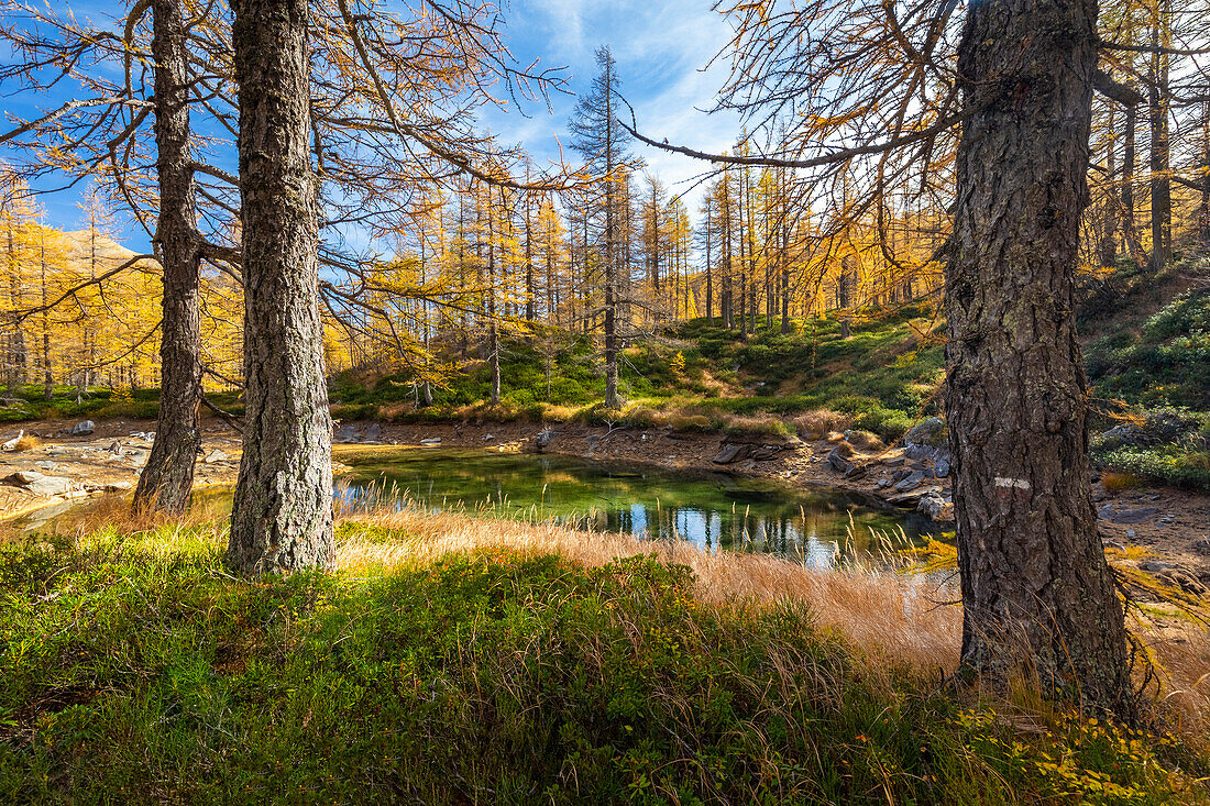 Herbstlicher Blick auf das Laub und die Farben am Lago delle Fate. Alpe Veglia, Cairasca-Tal, Divedro-Tal, Ossola-Tal, Varzo, Piemont, Italien.