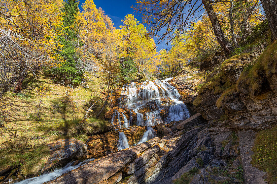 Herbstlicher Blick auf das Laub an der Cascata della Froa. Alpe Veglia, Val Cairasca Tal, Divedro Tal, Ossola Tal, Varzo, Piemont, Italien.
