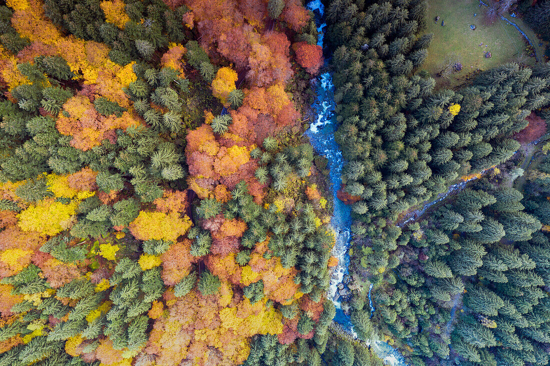 Luftaufnahme von Bagni di Masino im Herbst, Val Masino, Provinz Sondrio, Valtellina, Lombardei, Italien, Europa