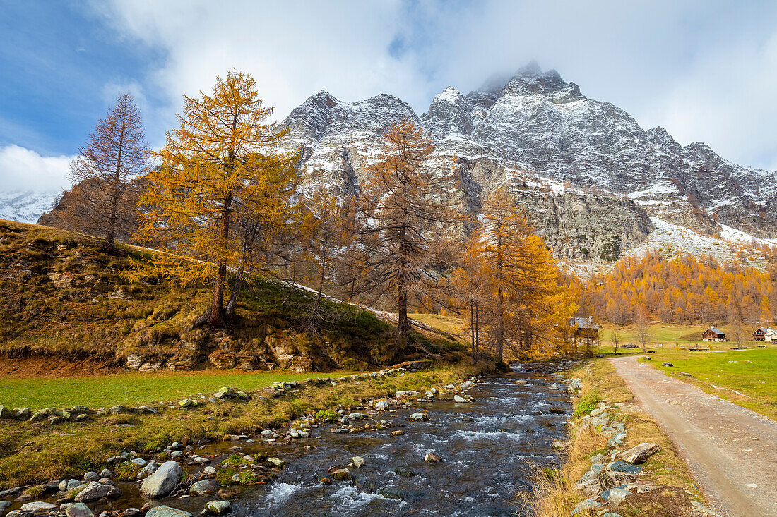 Autumnal view of the river Devero passing through Crampiolo town. Alpe Devero, Devero valley, Antigorio valley, Ossola valley, Piedmont, Verbano Cusio Ossola district, Italy.