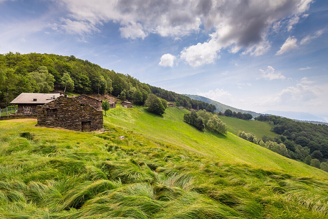 Blick auf das Bergdorf Alpone di Curiglia. Curiglia con Monteviasco, Veddasca-Tal, Bezirk Varese, Lombardei, Italien.