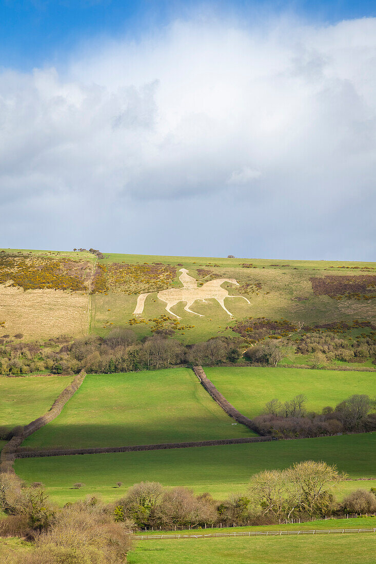 Blick auf die Kalksteinfigur namens Osmington White Horse auf einem Hügel bei Weymouth. Dorset, England, Vereinigtes Königreich.