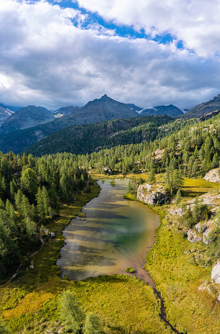 Luftaufnahme des Mufule-Sees und des Sasso Moro, umgeben von Lärchen im Sommer. Valmalenco, Valtellina, Sondrio, Lombardei, Italien, Europa.