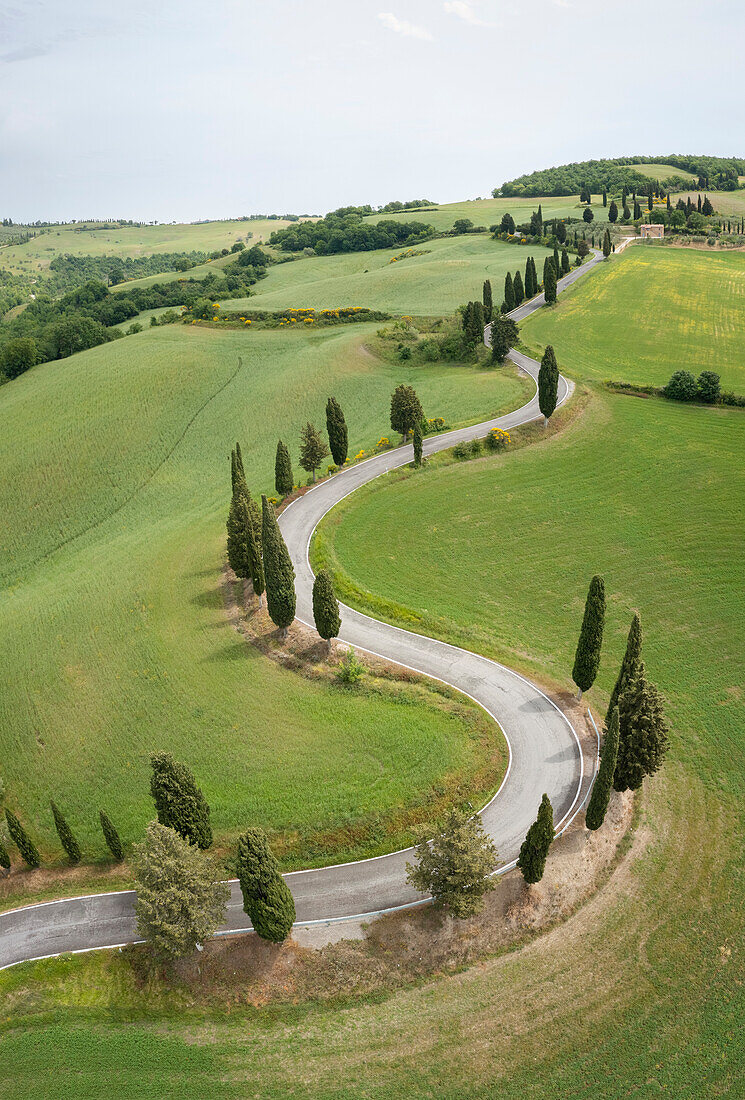 Luftaufnahme der kultigen Zypressenstraße von Monticchiello. Pienza, Orcia-Tal, Bezirk Siena, Toskana, Italien, Europa.