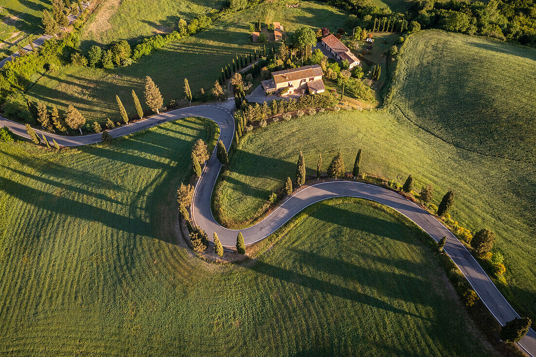 Luftaufnahme der ikonischen Zypressenstraße von Monticchiello bei Sonnenaufgang. Pienza, Orcia-Tal, Bezirk Siena, Toskana, Italien, Europa.