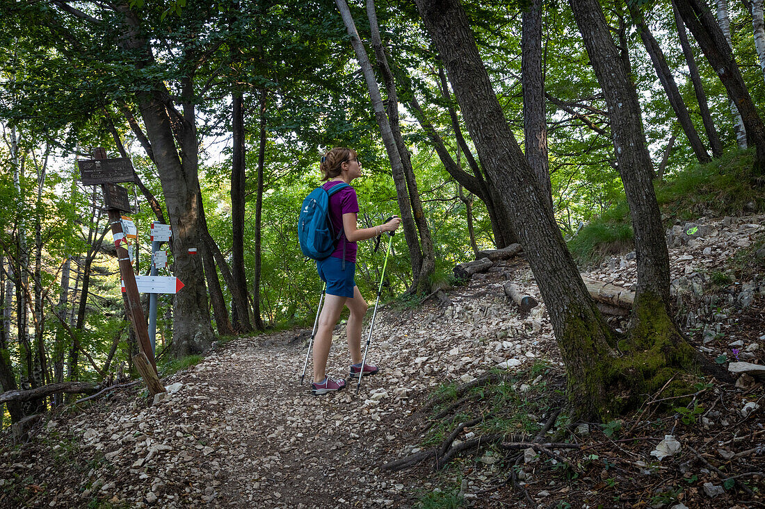 View of the trail to the top of Poncione di Ganna mountain, in Valganna valley. Varese district, Lombardy, Italy.