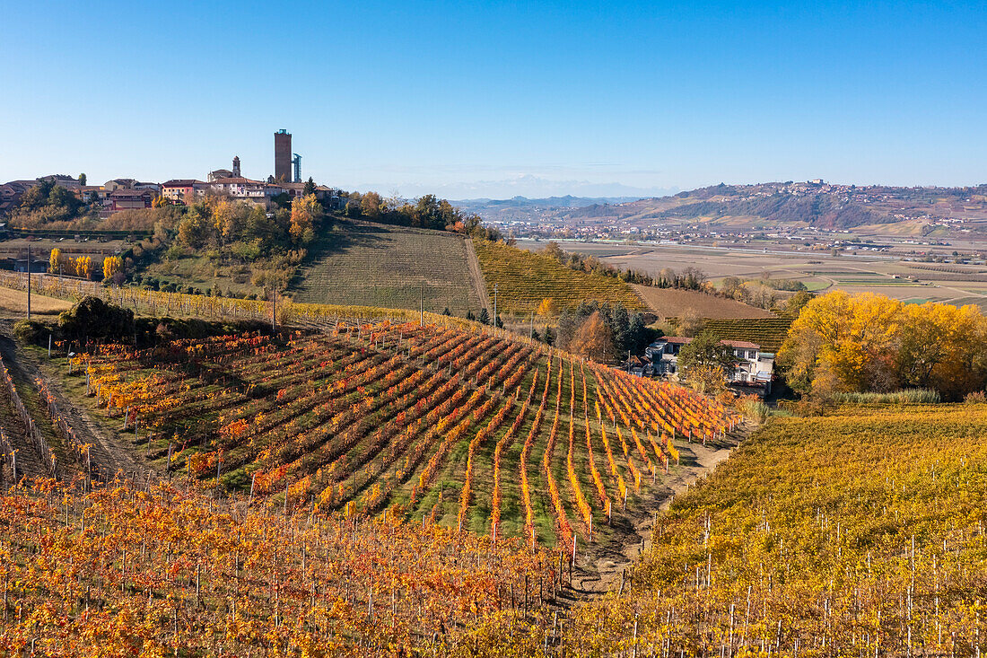 Aerial view of the town and medieval tower of Barbaresco. Barolo, Barolo wine region, Langhe, Piedmont, Italy, Europe.
