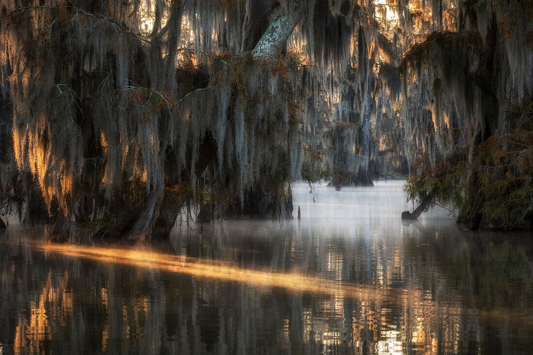 Sonnenaufgang im Atchafalaya-Becken im Herbst, Louisiana