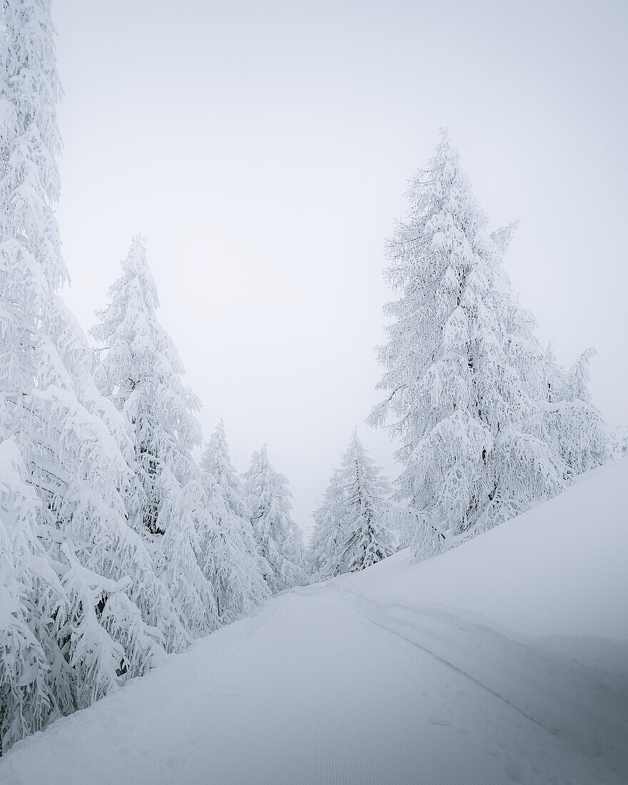 Ein eindrucksvoller Blick auf eine Alpenstraße nach einem kürzlichen Schneefall in Madesimo, Lombardei, Italien