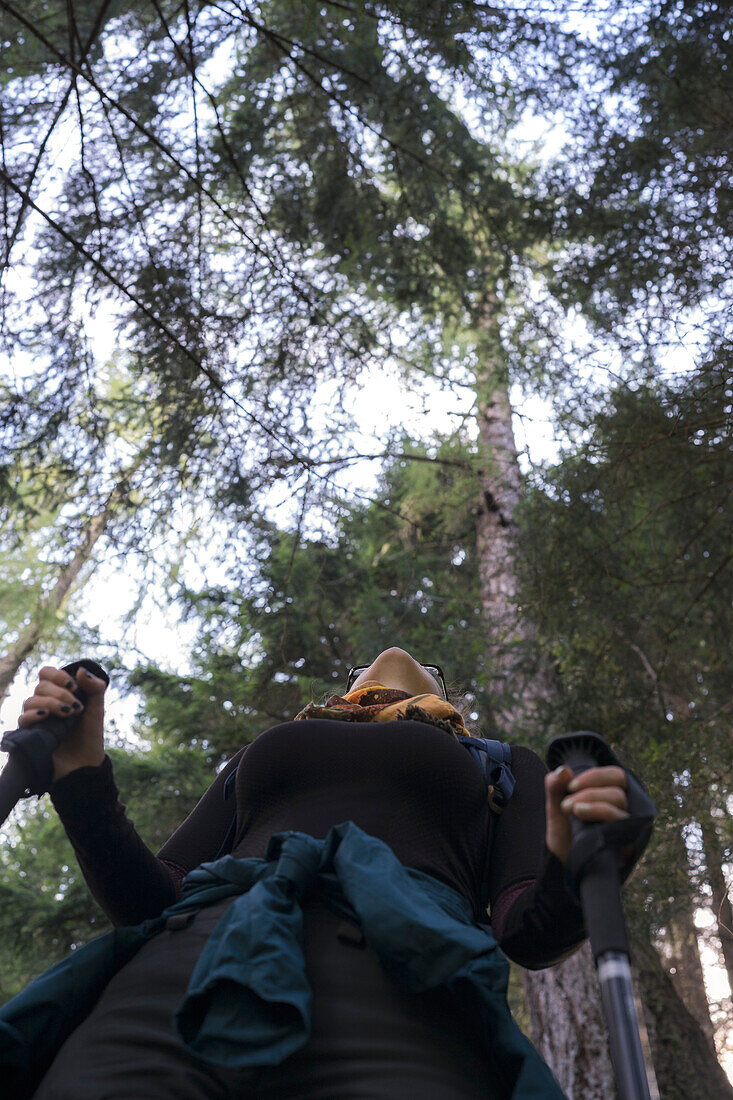 A young girl looking at the top of the trees, searching for animals, Rabbi, Rabbi Valley, Autonomous Province of Trento, Trentino Alto-Adige/Sudtirol, Italy