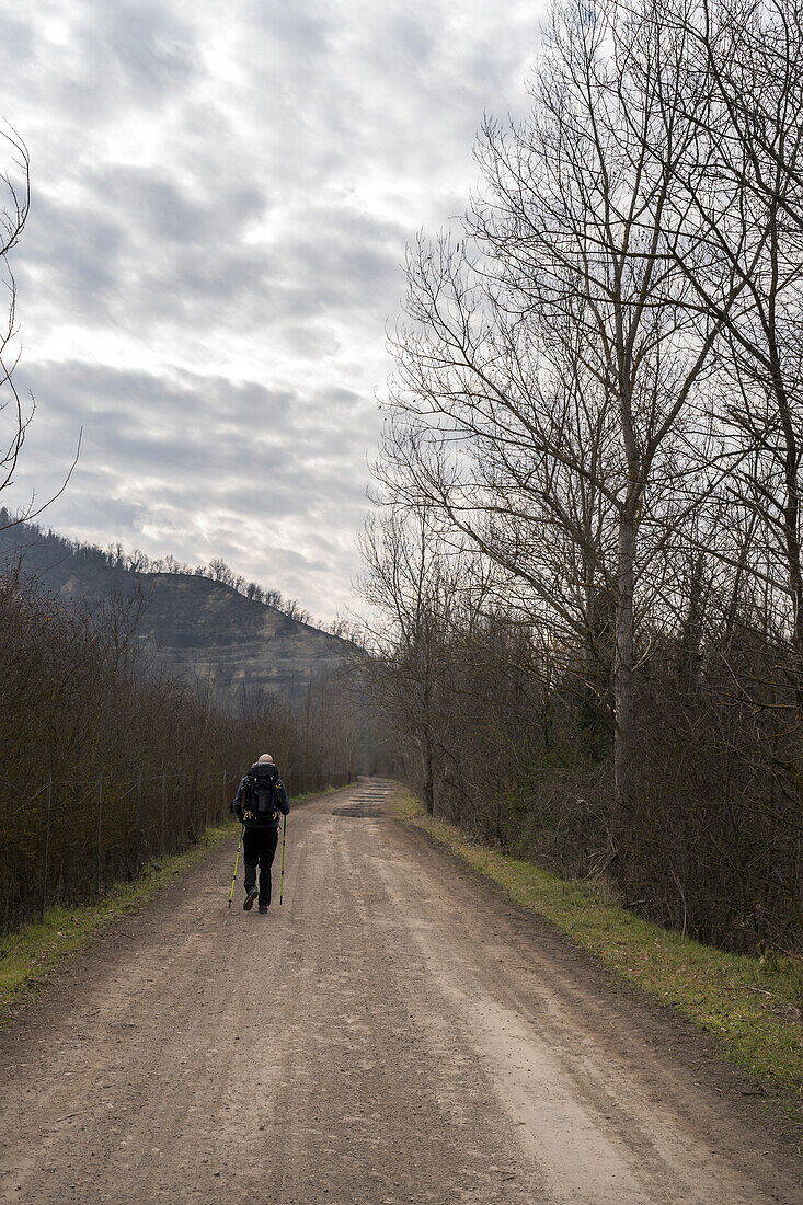 A young man is walking along a path of the Way of Gods from Bologna to Florence. Sasso Marconi, Metropolitan city of Bologna, Emilia romagna, Italy, Europe.