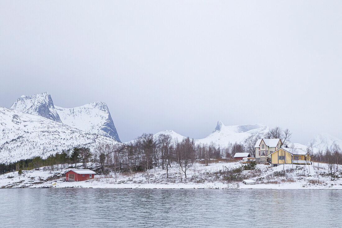 Europa, Norwegen: Blick auf die Straße in der Region Nordland