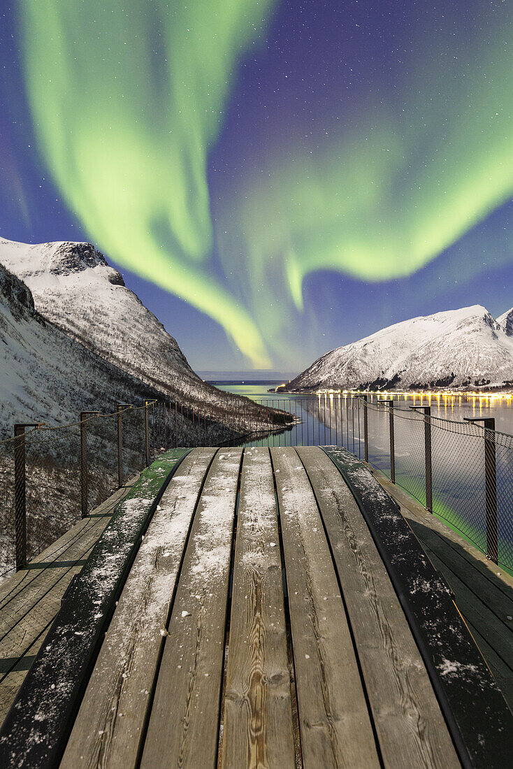 Europe, Norway, Senja Island: northern lights on the fjord from the Bergsbotn overview platform