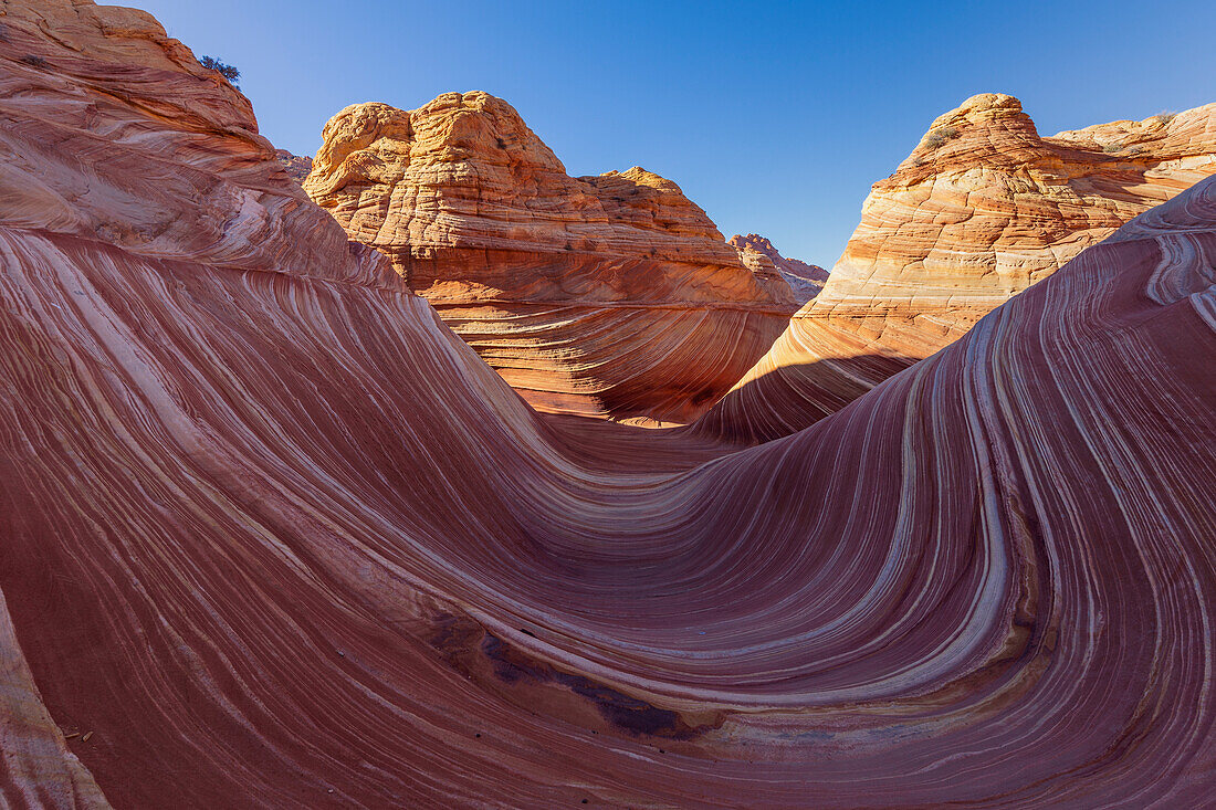 USA, Arizona, Vermillion Cliffs: Die Welle