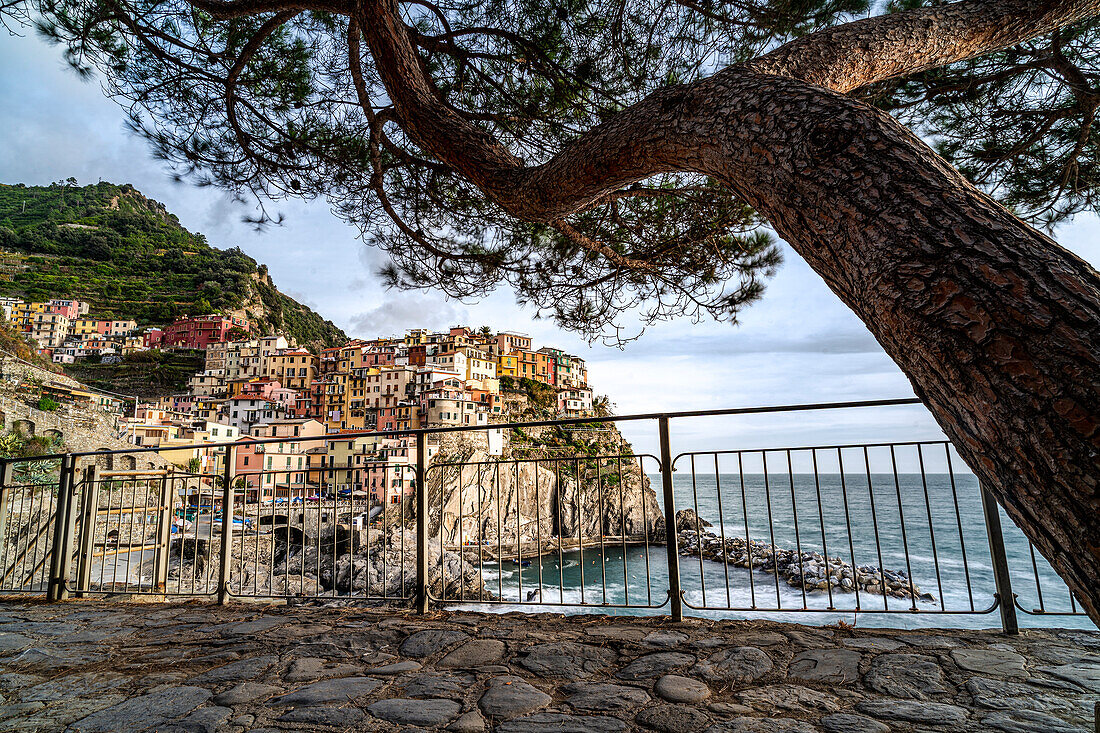Europa, Italien, Ligurien: ikonischer Blick auf Manarola bei Cinque Terre