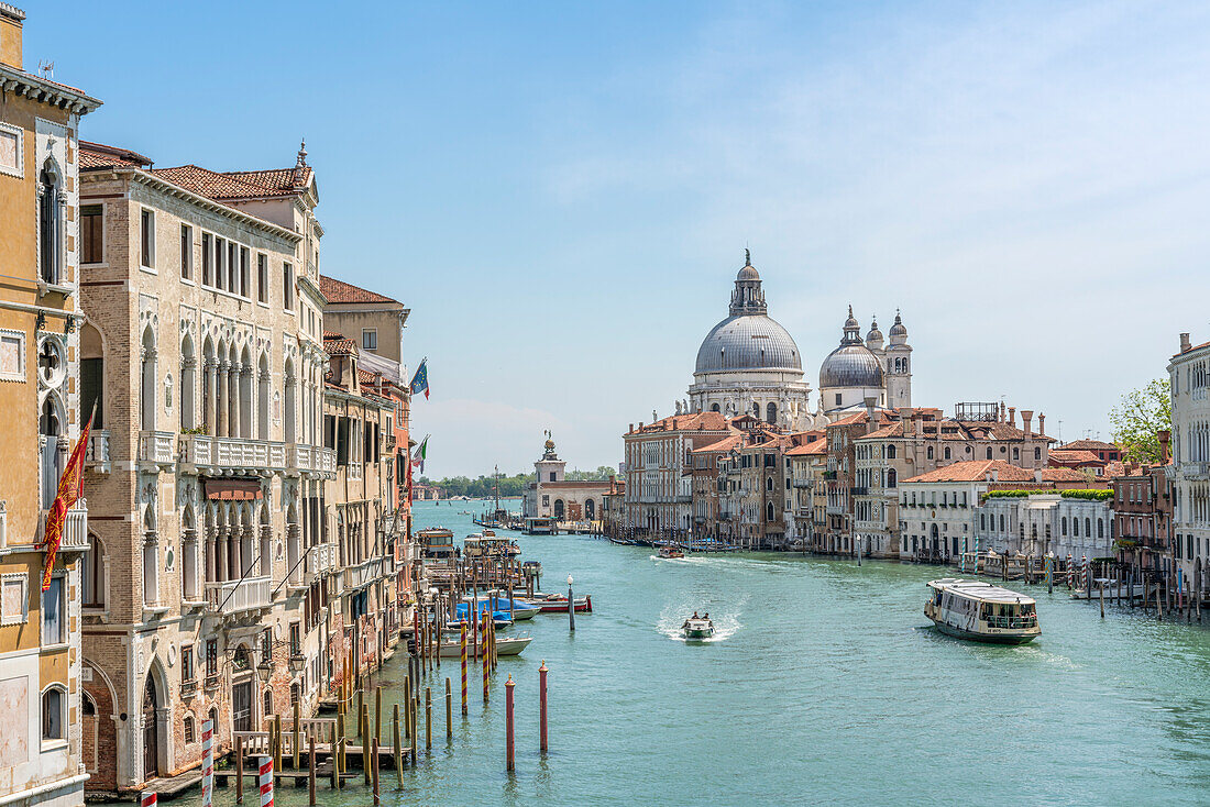 Europe, Italy, Veneto, Venice: the classical Canal Grande's postcard from the Academy Bridge