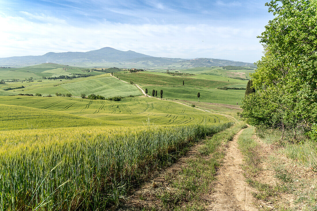 Europa, Italien, Toskana, Val d'Orcia: Asciano und der Weg des Gladiators zu den elysischen Feldern
