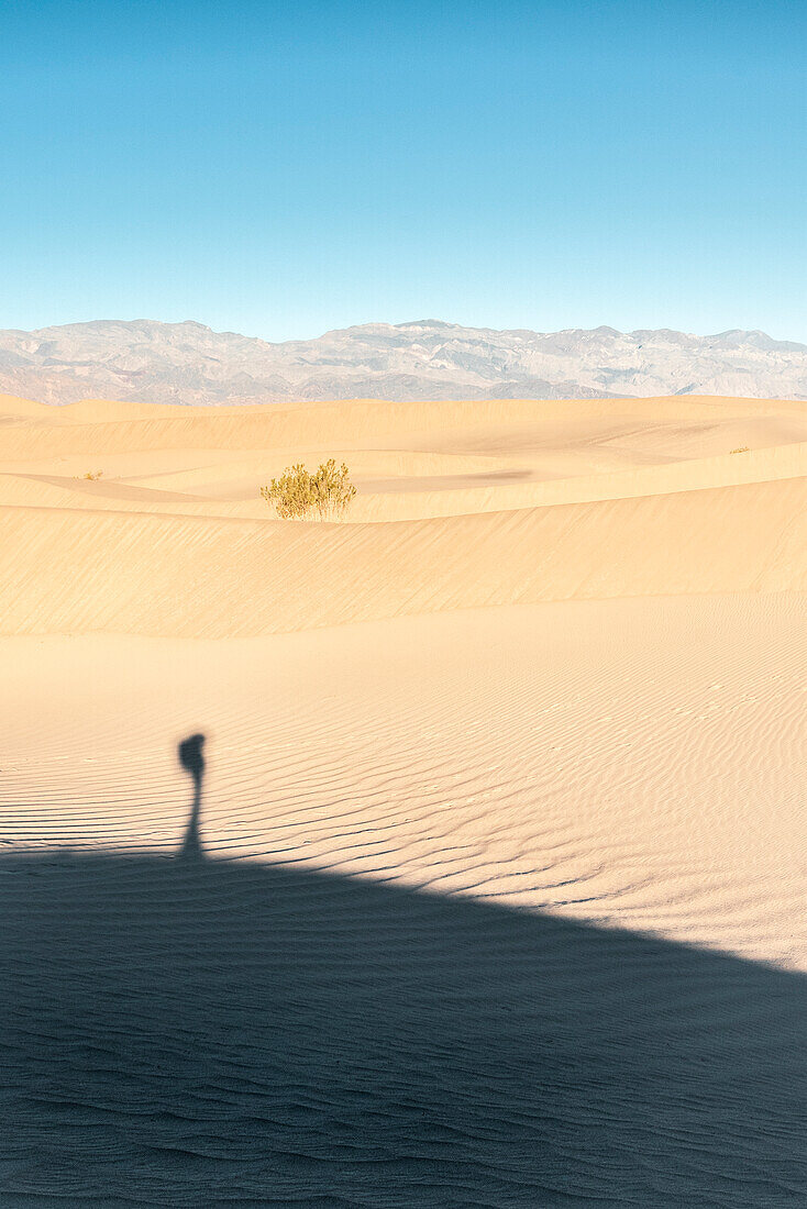 USA, Kalifornien: Schatten bei Sonnenaufgang auf den Mesquite-Dünen im Death Valley National Park