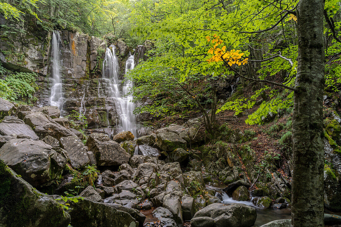 Europe, Italy, Emilia Romagna: one of the Dardagna Falls from the path in the woods