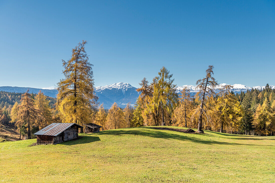 St. Genesien / Jenesien, Provinz Bozen, Südtirol, Italien. Herbst auf dem Salto, Europas höchstem Lärchenhochplateau. Im Hintergrund der Monte Luco