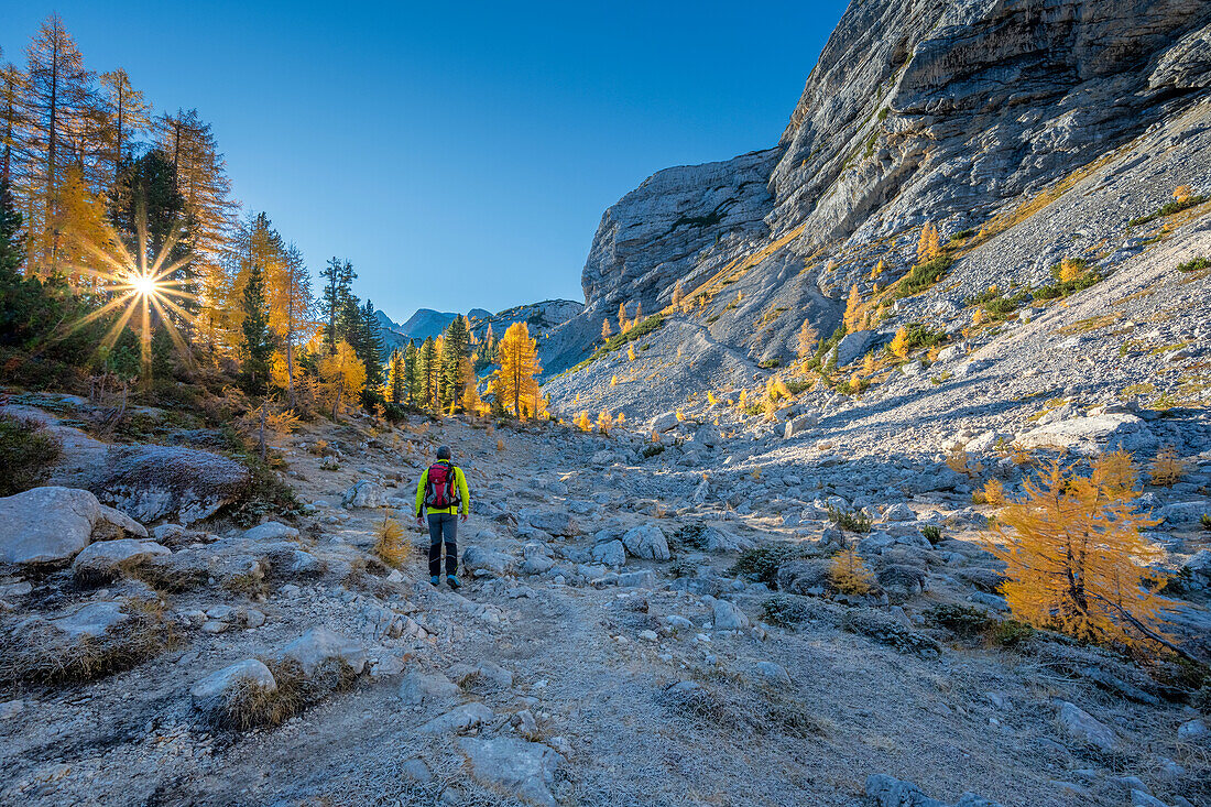 Prags / Braies, Dolomites, Province of Bolzano, South Tyrol, Italy. A mountaineer on the path to the summit of the Seekofel / Croda del Becco