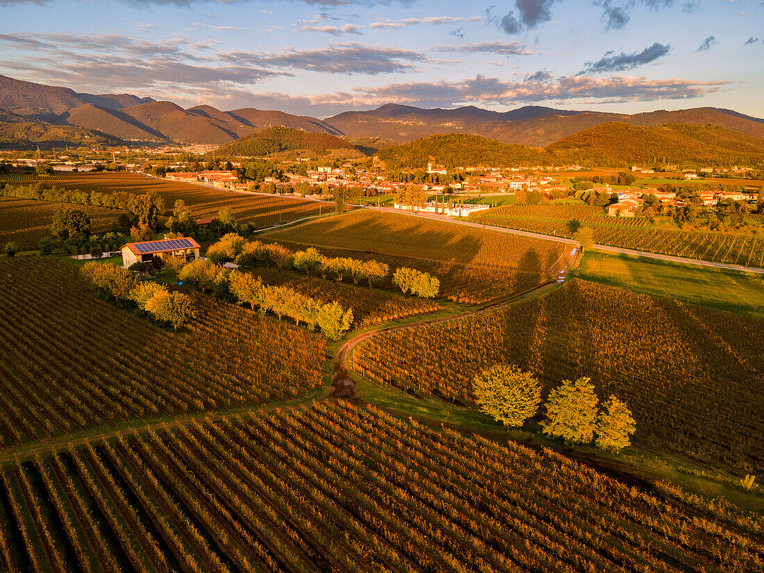 Aerial view of Franciacorta in autumn season, Brescia province, Lombardy district, Italy.