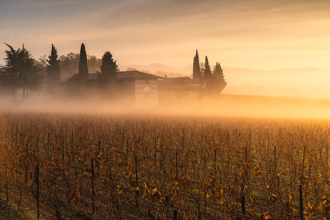 Autumn season in Franciacorta, Brescia province, Lombardy district, Italy, Europe.