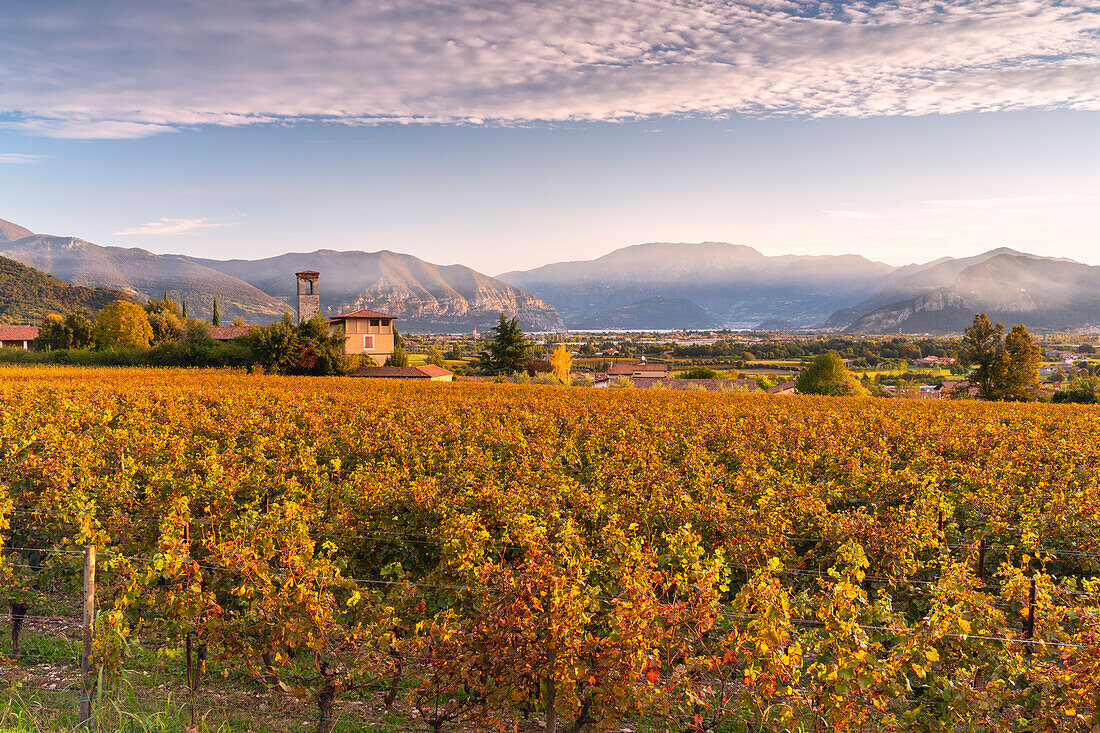 Autumn season in Franciacorta, Brescia province, Lombardy district, Italy, Europe.